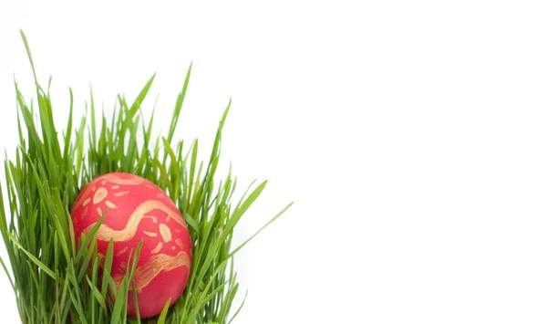 Huevo de Pascua sobre una hierba verde —  Fotos de Stock
