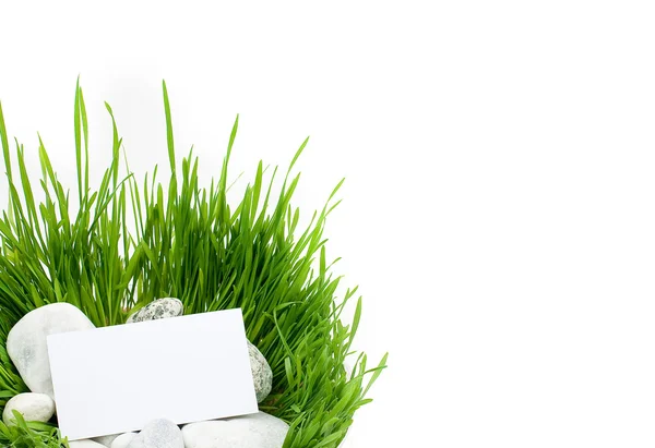 stock image Grass and stones on a white background