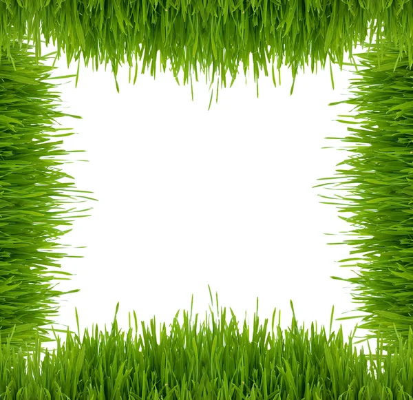 stock image Framework from a green grass on a white background