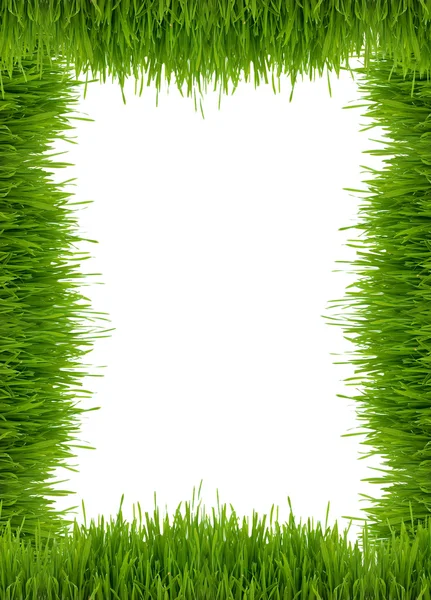 在白色背景上的绿草从框架 — 图库照片