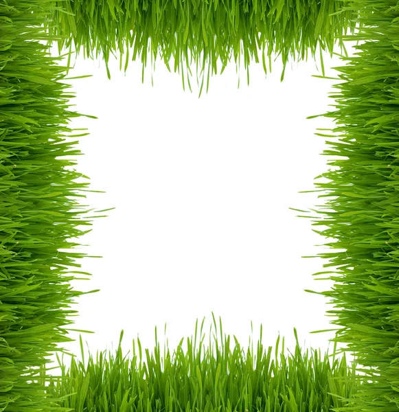 Stock image Framework from a green grass on a white background