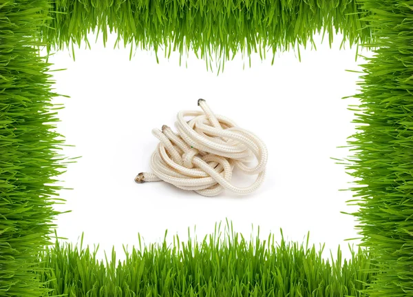 Grönt gräs på en vit bakgrund och rep — Stockfoto