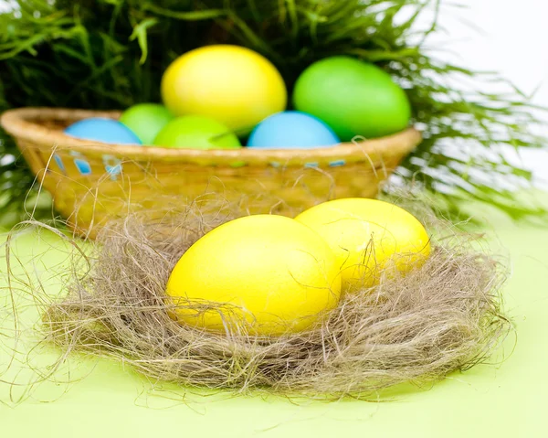 Huevos de Pascua en una hierba —  Fotos de Stock