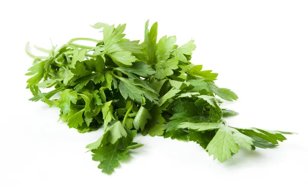 stock image Parsley