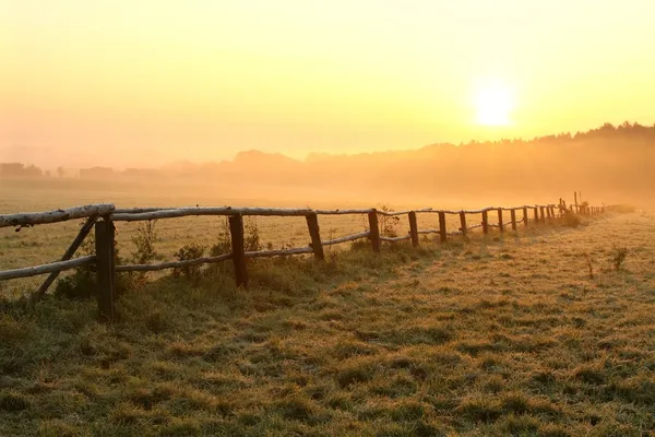 Misty sunrise over the field — Stock Photo, Image