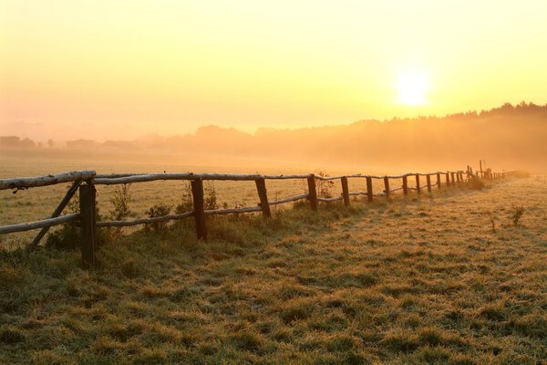 Misty sunrise over the field
