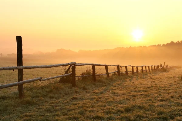 Pintoresco amanecer sobre un campo brumoso —  Fotos de Stock