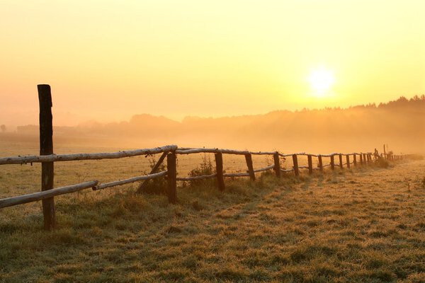 Picturesque sunrise over a misty field