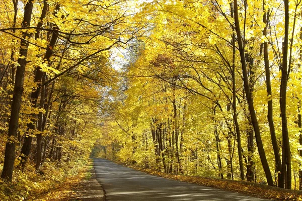 Осенняя дорога — стоковое фото
