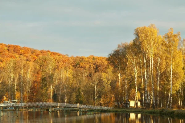 Şafakta sonbahar manzarası — Stok fotoğraf