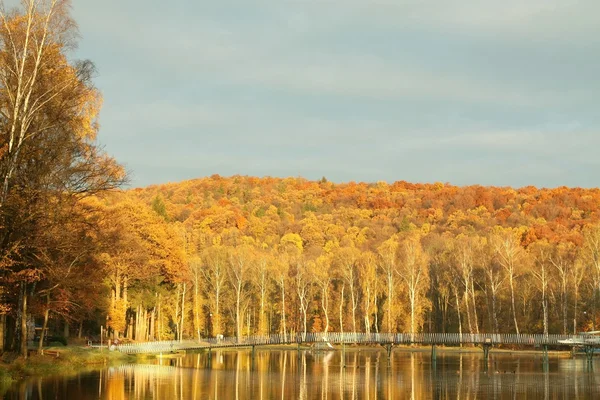 Herfst landschap bij dageraad — Stockfoto