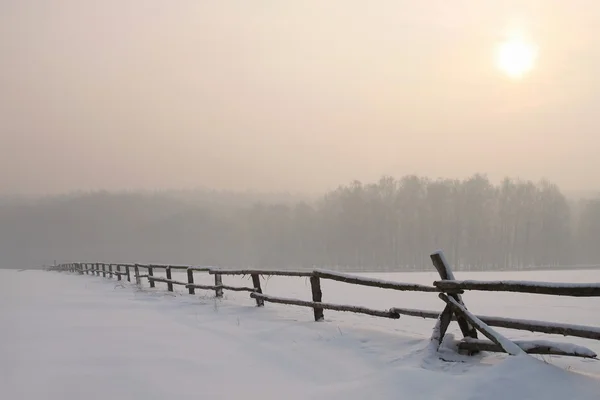 Paisaje de brumoso amanecer de invierno —  Fotos de Stock