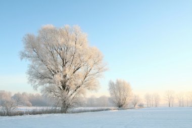 Winter landscape at dawn clipart