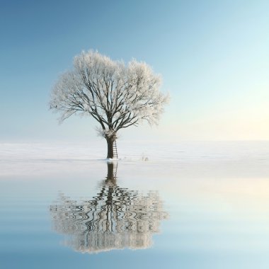 Lonely winter tree on the lake shore clipart