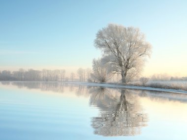 Картина, постер, плакат, фотообои "зимний пейзаж замерзших деревьев на рассвете художники", артикул 4434384