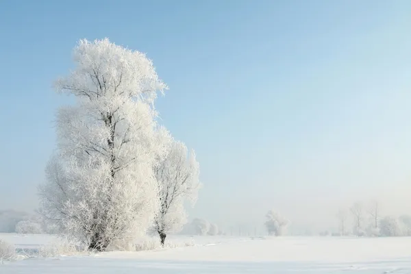 Paisaje invernal por la mañana — Foto de Stock