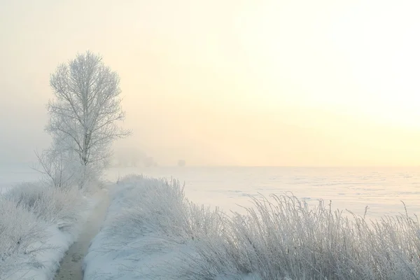 Paisaje de invierno al amanecer — Foto de Stock