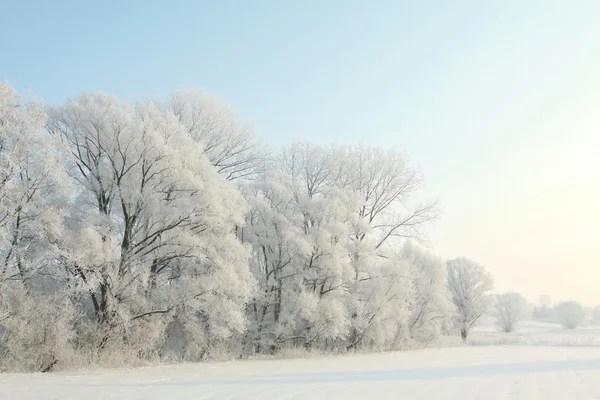 Paisaje invernal por la mañana —  Fotos de Stock