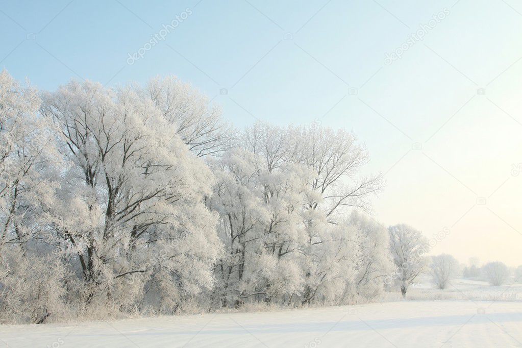 Winter landscape in the morning