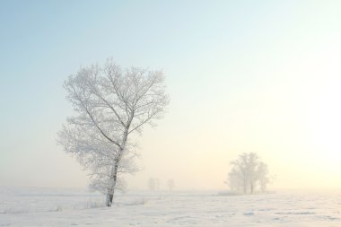 Winter landscape at dawn clipart