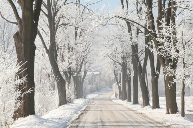 Winter lane in the countryside clipart