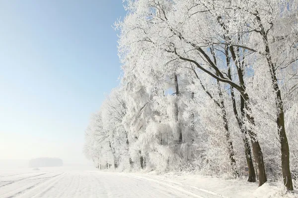 Zimowy krajobraz w słoneczny poranek — Zdjęcie stockowe
