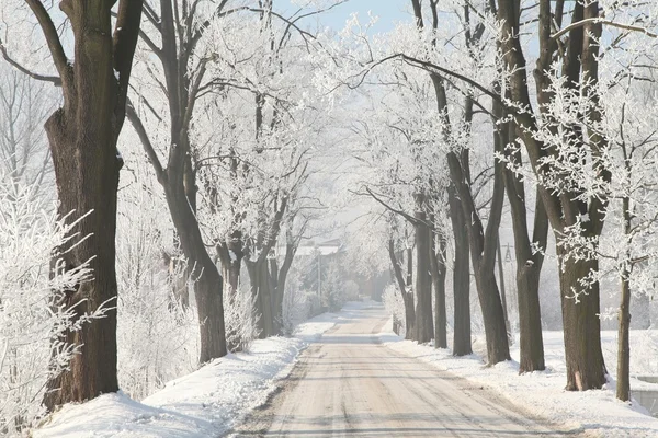 Vintern lane på landsbygden — Stockfoto