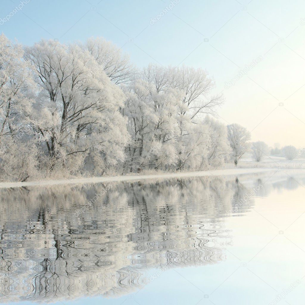 Frosty winter trees at dawn