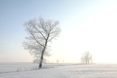 Winter landscape at dawn clipart