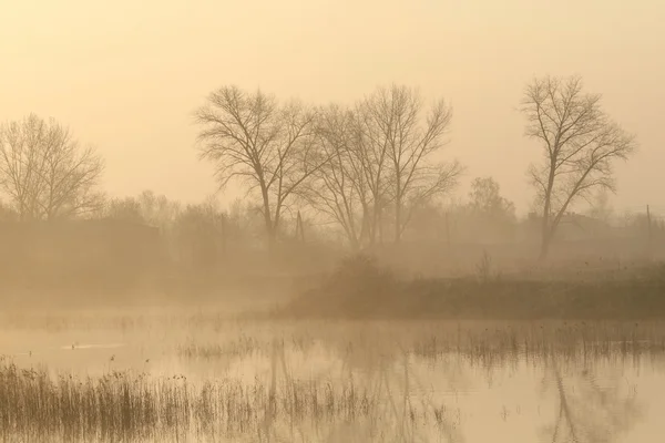 Landsbygdens landskap på en dimmig vårmorgon — Stockfoto