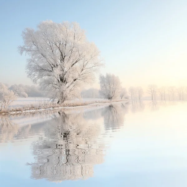 Paisaje de invierno al amanecer — Foto de Stock