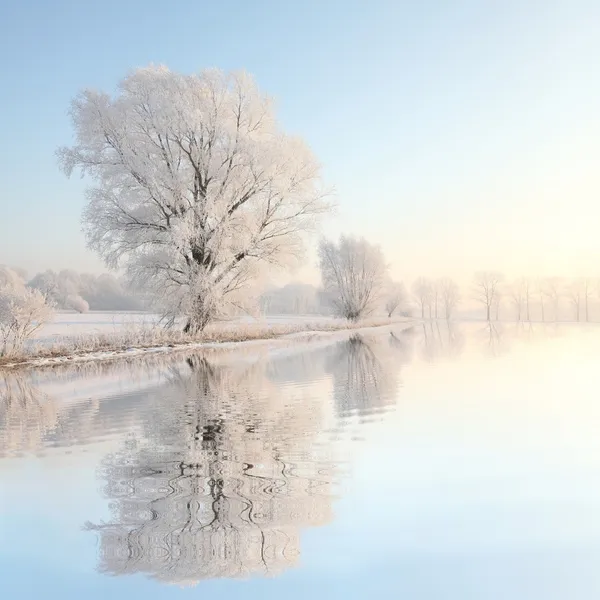 Vinterlandskap i gryningen Stockfoto