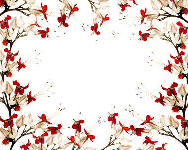 Red and black butterfly flower frame clipart