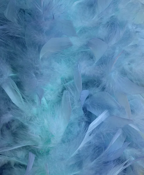 Голубая вода и размытый фон перьев — стоковое фото