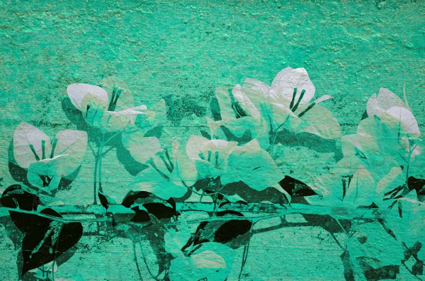 Grunge bougainvillea print on aqua wall — Stock Photo, Image