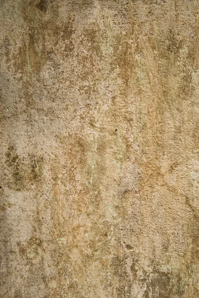 세 고 깨진 석고 벽 — 스톡 사진