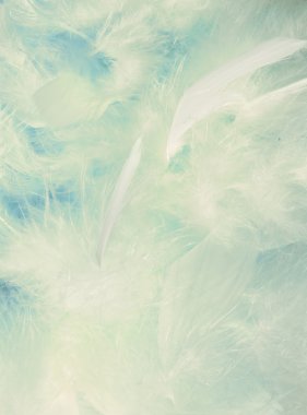 Background of fluffy cloud-like feathers clipart