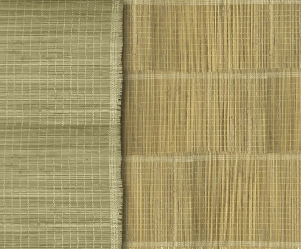 Terra verde e amarelo fundo tira de bambu — Fotografia de Stock