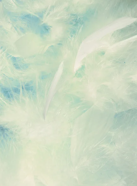 蓬松的云状羽毛的背景 — 图库照片