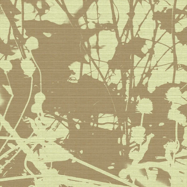 Grunge 种子头和分支剪影 — 图库照片