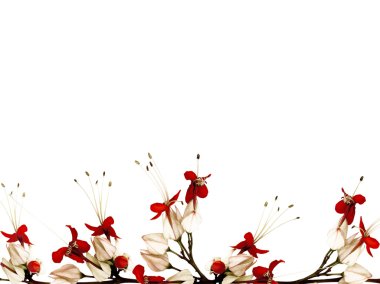 Red black and white butterfly flower border isolated with clippi clipart