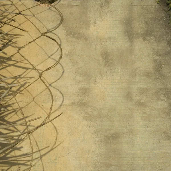 グランジ壁背景に葉、ロープのディバイダー — ストック写真