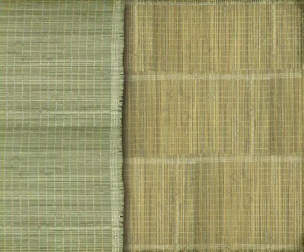 Earthy green and yellow bamboo strip background — Stock Photo, Image