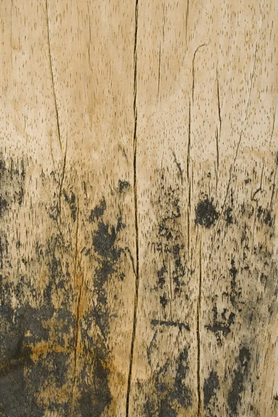 垂直裂缝木海滩木板 — 图库照片