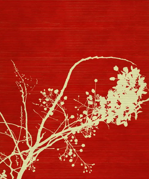 Blossom branch afdrukken op rode achtergrond — Stockfoto