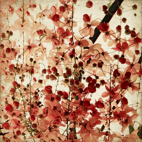 Stampa di fiori rossi su sfondo di bambù a costine — Foto Stock