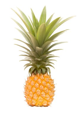 Garden grown totally organic pineapple clipart