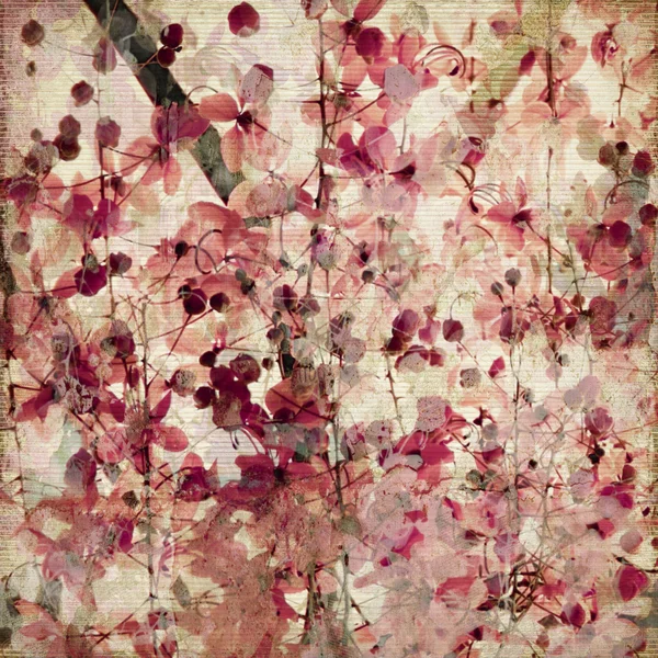 Grunge Rosa Blütenprint Auf Geripptem Bambus Antiken Hintergrund — Stockfoto