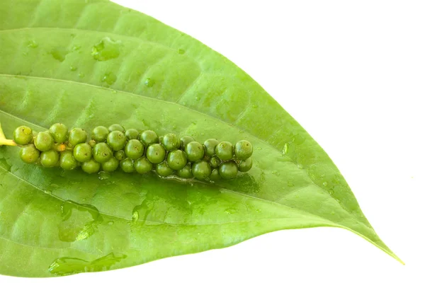 Μούρα φρέσκα πιπερόκοκκος σε φύλλα αμπέλου πιπέρι — Φωτογραφία Αρχείου