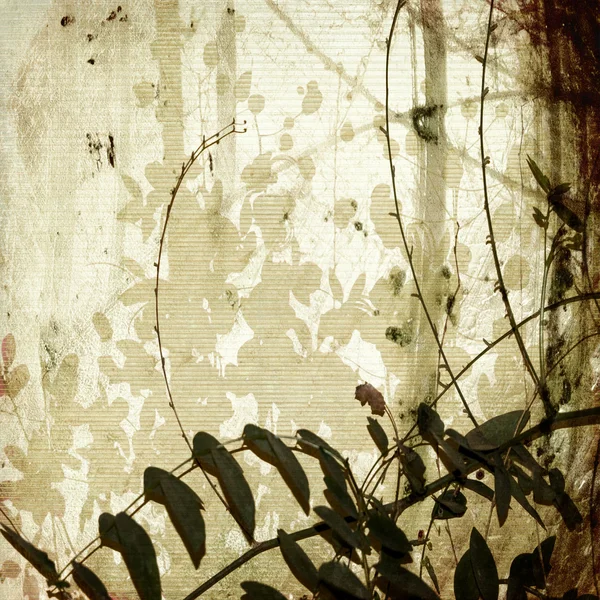 アンティーク竹紙の上にもつれたグランジ枝 — ストック写真